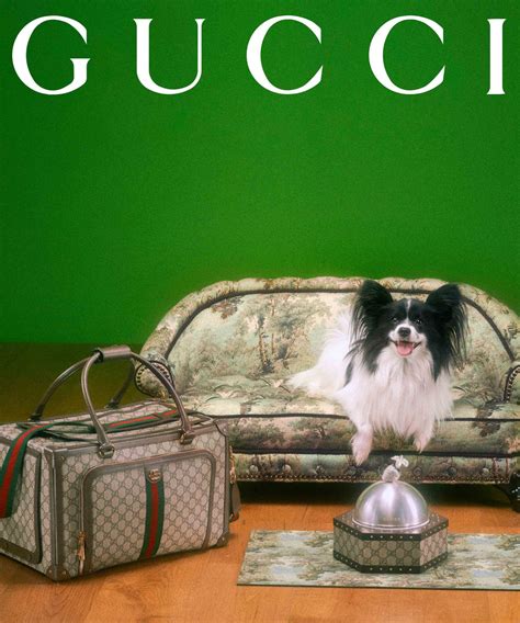 gucci space cat backpack|Introducing The Gucci Pet Collection For The Most Glamorous Pets.